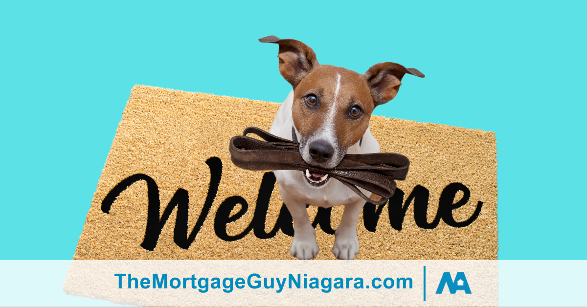 Jack Russell Terrier eagerly awaits at the front door, sitting on a cozy welcome mat with a leather leash held in its mouth, symbolizing the readiness and anticipation of homeowners looking to renew their mortgage.